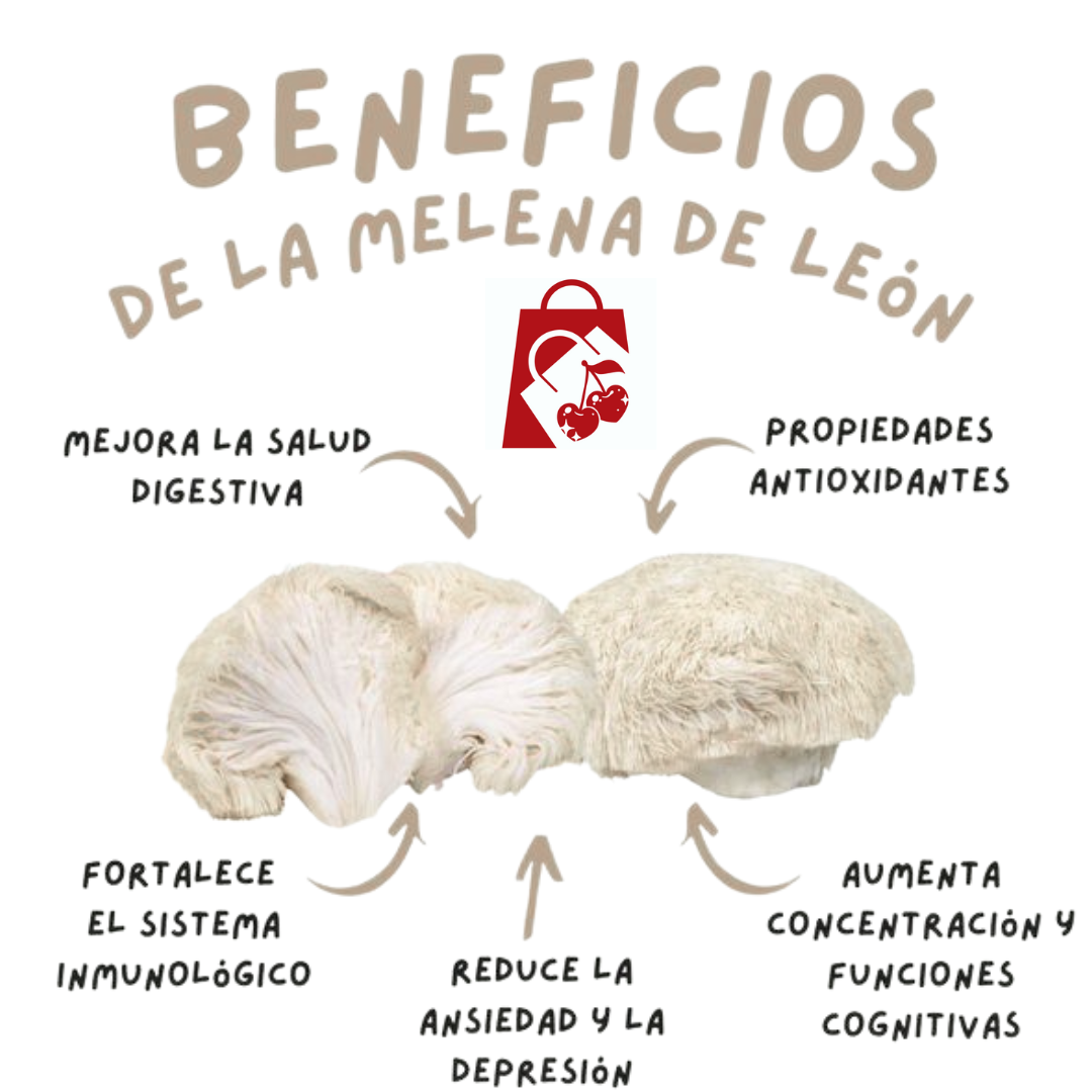 MELENA DE LEON FORTIFICADA