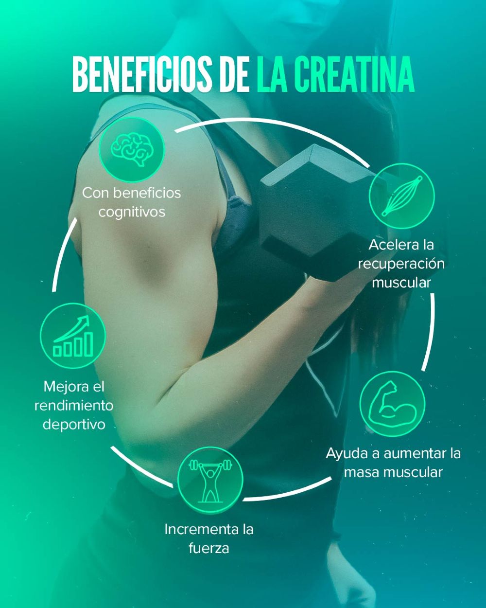 CREATINA MONOHIDRATADA 300GR / MICRONIZADA DE MÁXIMA PUREZA