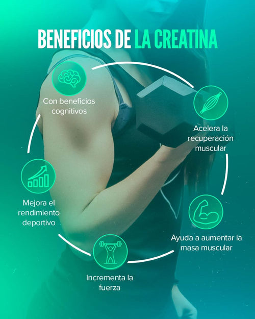CREATINA MONOHIDRATADA 300GR / MICRONIZADA DE MÁXIMA PUREZA