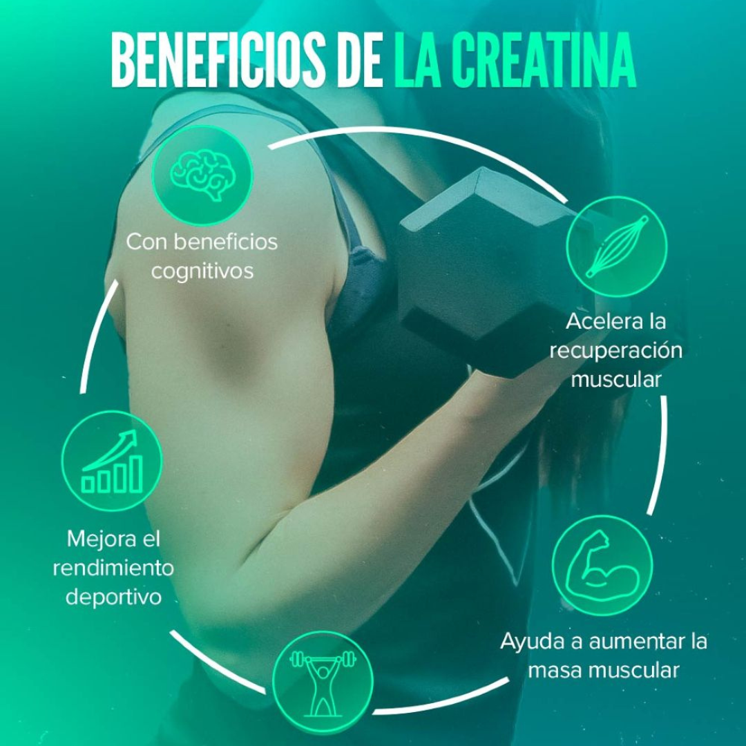 CREATINA MONOHIDRATADA 300GR / MICRONIZADA DE MÁXIMA PUREZA