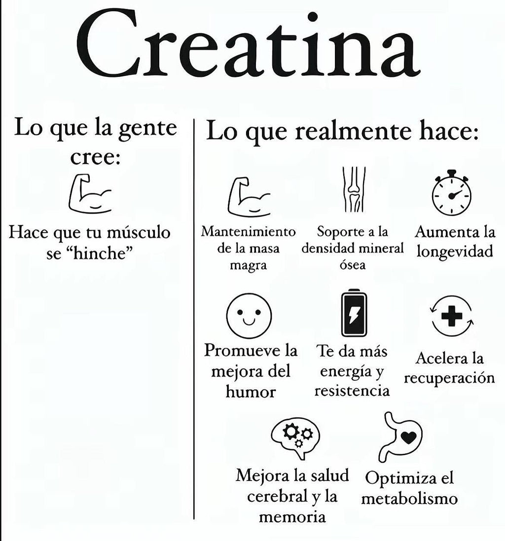 CREATINA MONOHIDRATADA 300GR / MICRONIZADA DE MÁXIMA PUREZA